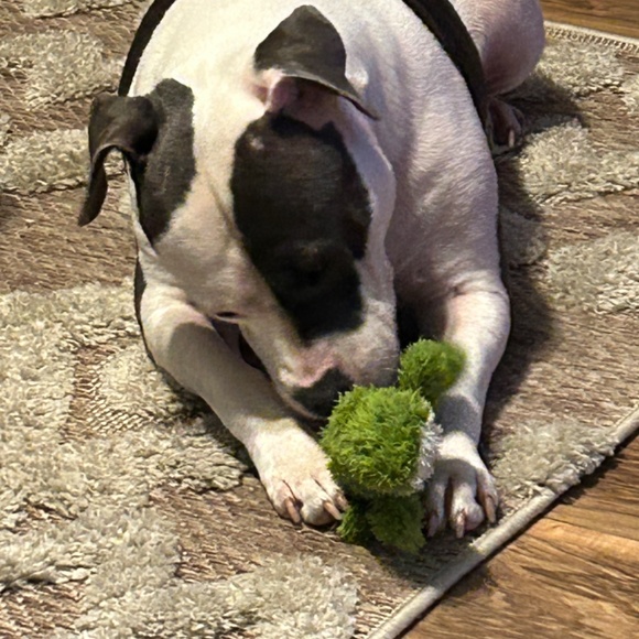 Meet your Posher, Laura - Picture 2 of 5